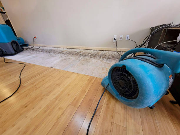 Professional Water Damage Repair technician working in Hernshaw, WV