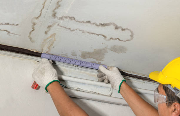 Affordable Water Damage Repair solutions in Hernshaw, WV